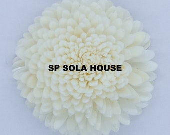 100 Sola Wood Flower Zinnia | Balsa Wood Flower | Artificial Flower for Decoration- Available in sets of 4cm, 6cm & 8cm. in diameter