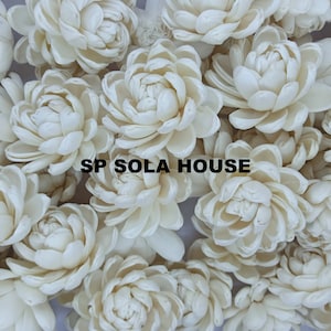 Puede incluir: Primer plano de flores de madera de sola de color marfil. Las flores están dispuestas muy juntas, llenando el encuadre. El texto "SP SOLA HOUSE" está impreso en negro en la imagen. Las flores tienen múltiples capas de pétalos.