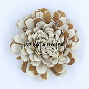 Bark Sola Wood Flower: Bally Style, Natural White & Brown