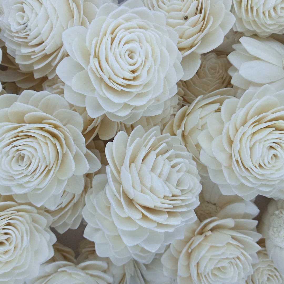 w.o.d.　F.L.O.W.E.R.S. 100 Waterlily Sola Wood Flowers: Natural White, DIY Decor (4cm-8cm