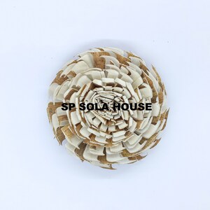 Bark Sola Wood Flower: Chorka, Natural White & Brown Decor