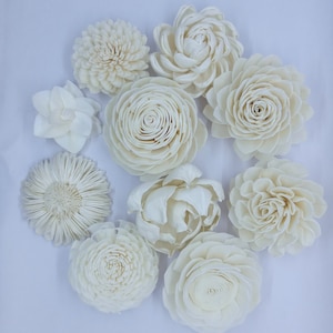 100 witte solahoutbloemen: gemengde variëteit, knutselen (6-9 cm)