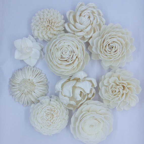 100 White Sola Wood Flowers: Mixed Variety, DIY Crafts (6-9cm) - Etsy