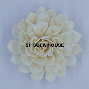 100 Stück Sola Holzblumen, Dahlie Sola Blumen, künstliche Blumen für die Dekoration - Erhältlich in Sets von 6 cm und 8 cm. im Durchmesser