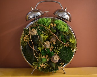 Réveil végétal - Moss O'Clock CHLOE
