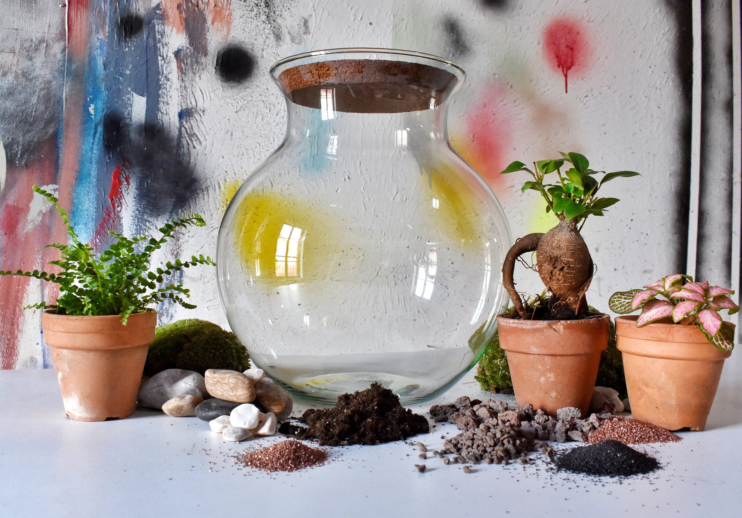 Kit Terrarium Diy - Juno Xl Bocal + 3 Plantes