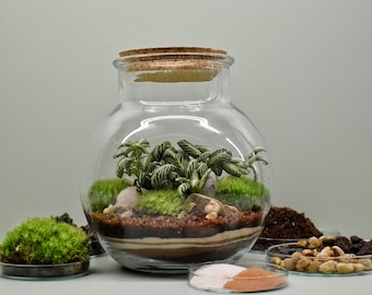 DIY terrarium kit - Juno - 1 plant