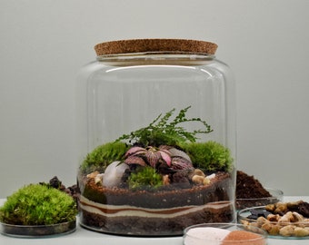 Kit terrarium DIY - Kanito - 2 plantes