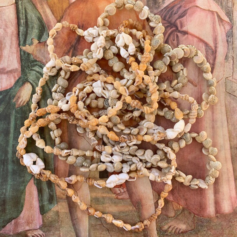 3 Shell Strand Seashells Strand Vintage X974 Tropical Beach Necklaces