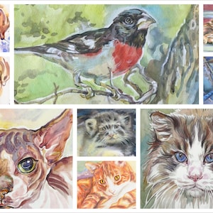 Hand Drawn, Original, watercolor and pencil drawings of animals - dog, cat, birds, A4 format