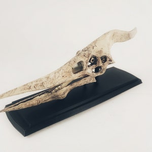 Pteranodon Dinosaur Skull Replica