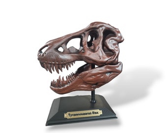 Tyrannosaurus Rex (T-Rex) Skull