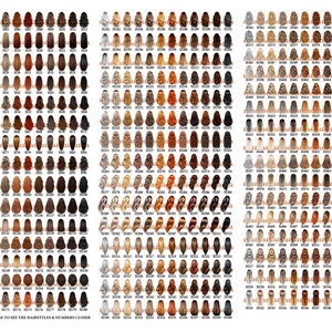 May include: A chart of 100 different hairstyles for women, with each hairstyle numbered. The hairstyles are arranged in rows and columns, and each hairstyle is shown from the back. The hairstyles include a variety of lengths, colors, and styles.