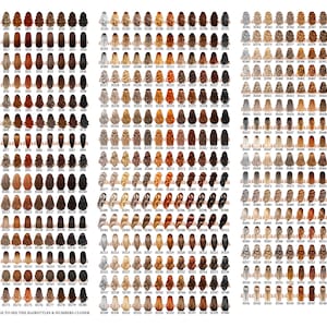 Puede incluir: Un gr&aacute;fico con 100 peinados diferentes para mujeres, con cada peinado numerado. Los peinados est&aacute;n dispuestos en filas y columnas, y cada peinado se muestra desde la parte posterior. Los peinados incluyen una variedad de longitudes, colores y estilos.