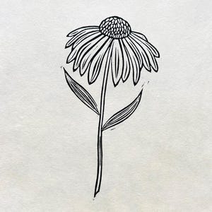 Echinacea • Original Linocut Block Print • Hand Carved & Hand Printed • Cone Flower Art