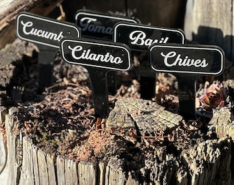 Acrylic Garden Markers: Herb & Veggie Plant Labels, Set of 10