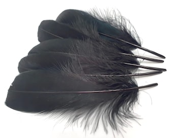 5 Natural Black Goose Feathers