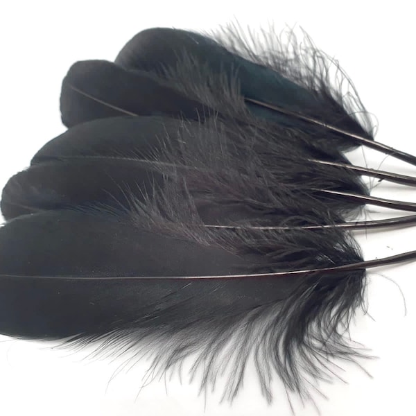 Black Feathers Etsy