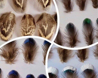 10 Tiny Feathers Arts and Crafts UK