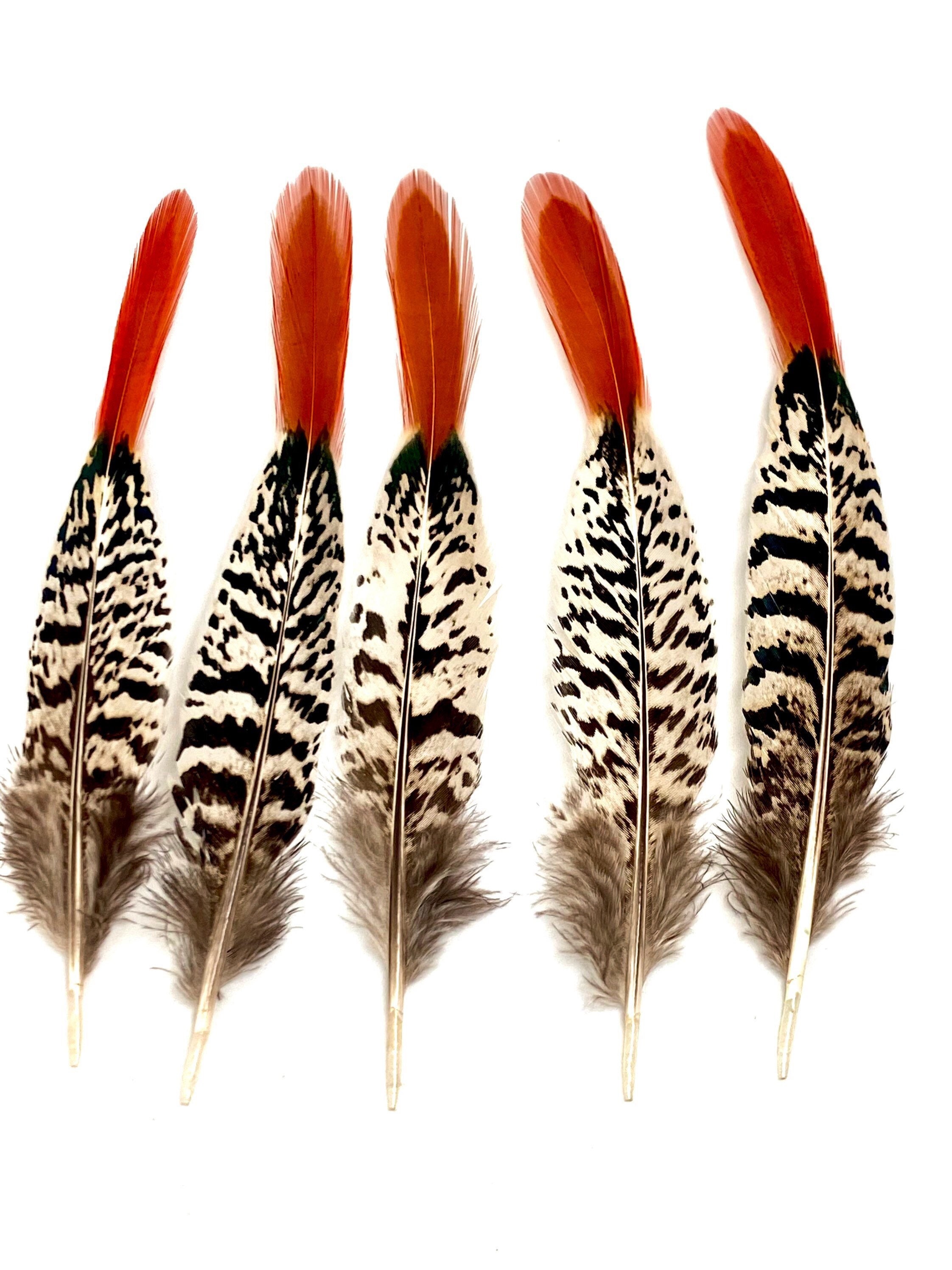 Tissue Paper Feathers, Vegan Feathers, Fake Feather -  Israel