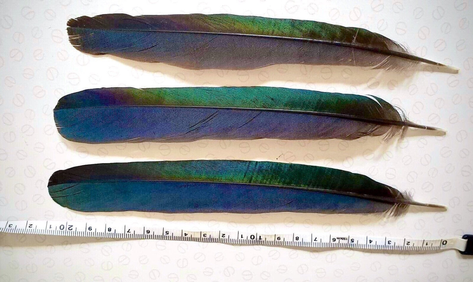 Plumes naturelles de pie bleue ou plumes de queue de pie Etsy