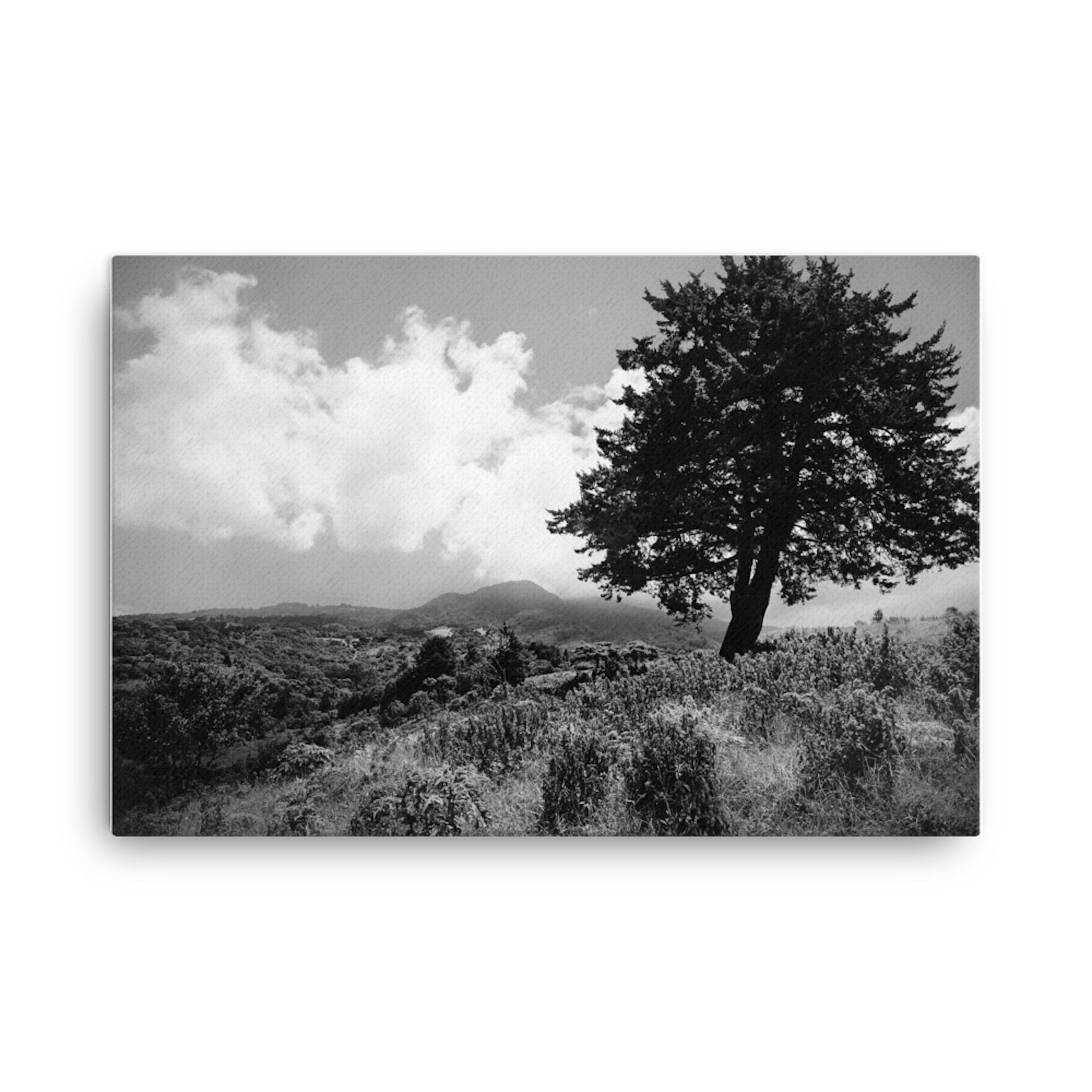 Black And White Photography Nature Art Black And White Prints Etsy