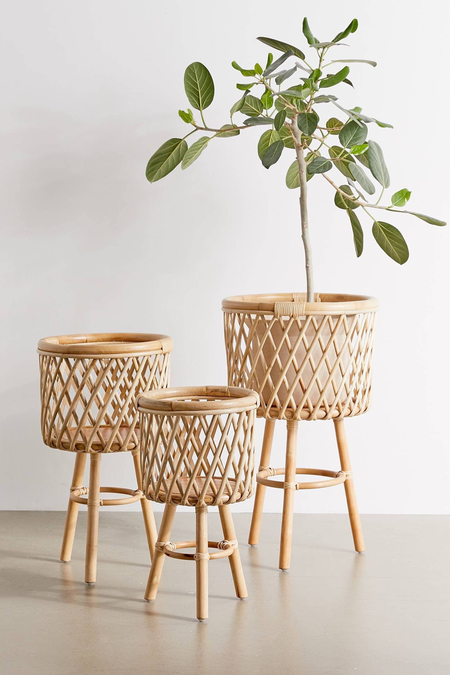 Wicker Plant Stand for sale Only 3 left at 65
