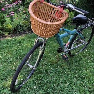 Schwinn wicker basket sale