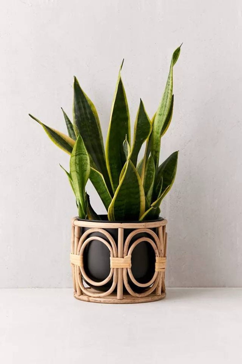 Rattan Planter Rattan Bamboo Plant Stand Wicker Plant Stand Etsy