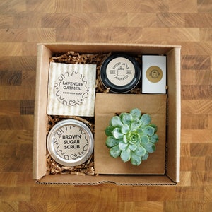 Sweet Succulent Gift Box, Handmade Goat Milk Soap, Soy Candle, Brown Sugar Scrub, with a Succulent