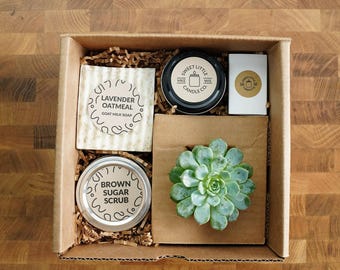 Sweet Succulent Gift Box, Gift Wrapped with Card