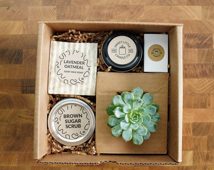 Sweet Succulent Gift Box, Gift Wrapped with Card