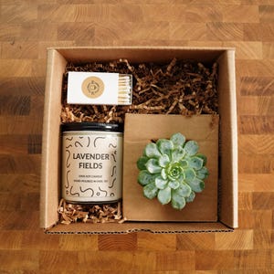 Succulent & Candle Gift Box, Gift Wrapped with Card