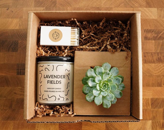 Succulent & Candle Gift Box, Gift Wrapped with Card