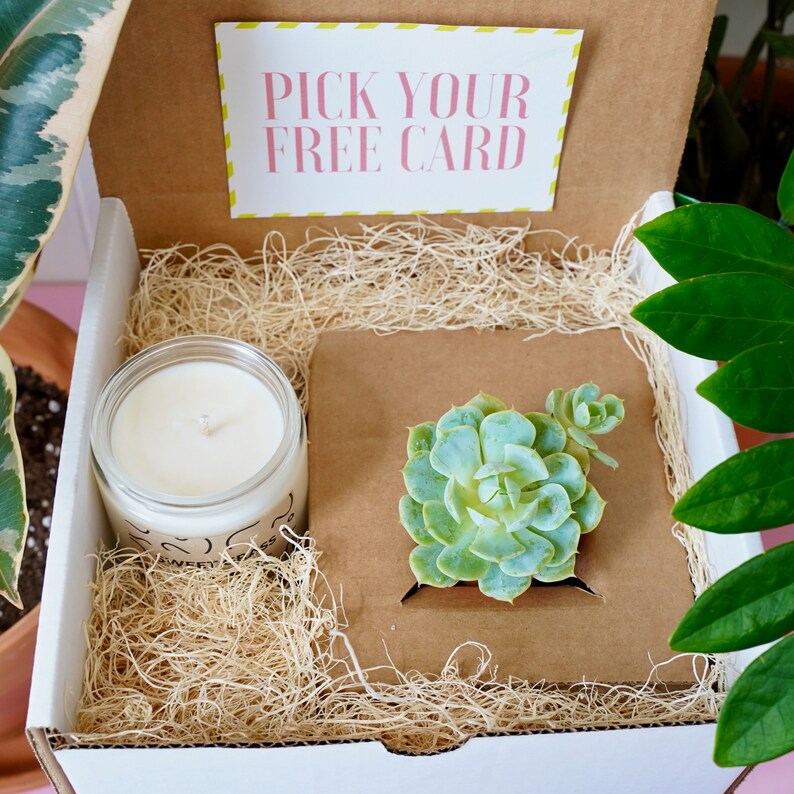 Succulent & Candle Gift Box for great gift For birthdays or image 2