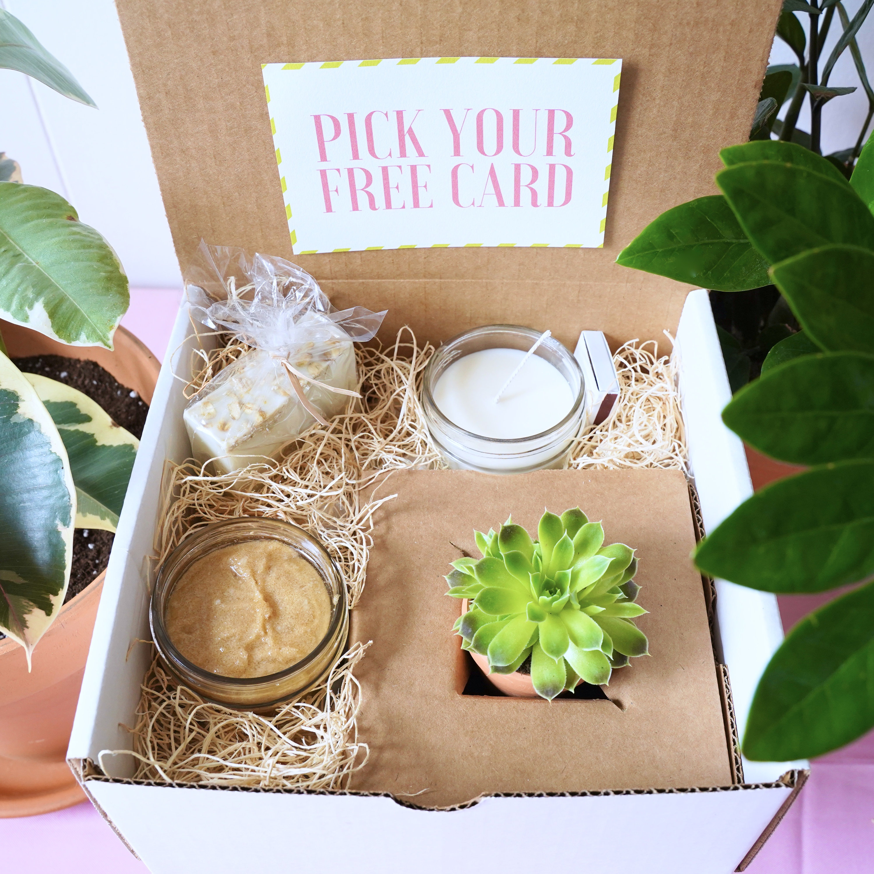 Sweet Little Succulent Gift Box, Homemade Goat Milk Soap, Soy Candle,…