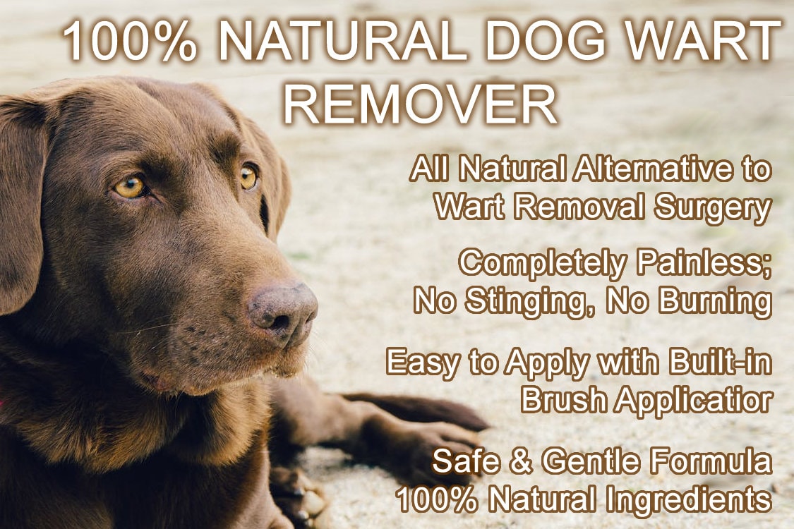 Can You Use Wart Remover On Dogs