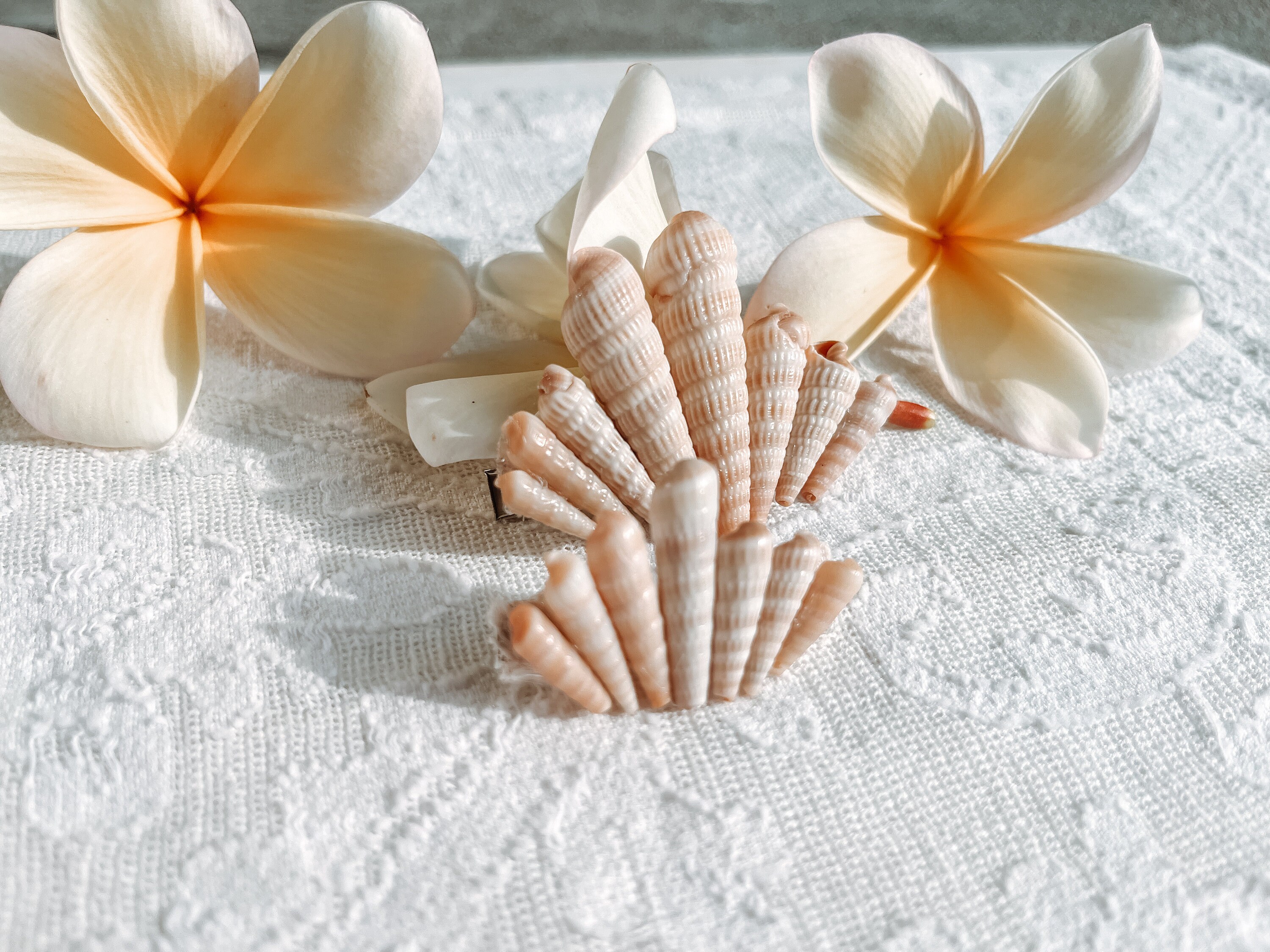 Seashell Hair Clip: Real Florida Shells, Beach Wedding 