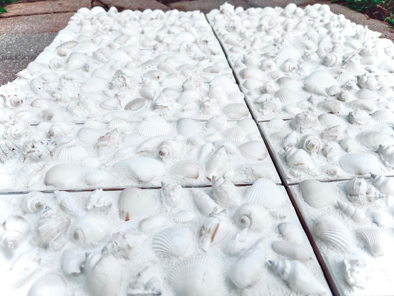 Seashell Column Seashell Tile: Custom Coastal Decor, Beach House Accent Tile - Etsy