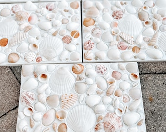 Seashell Tile: Custom Coastal Decor, Beach House Tile (8x12”)