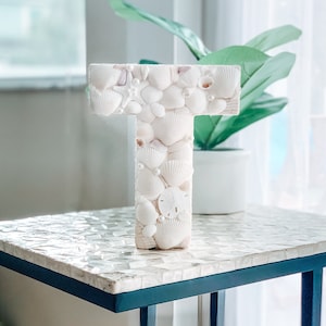 May include: White letter T made of seashells, with a white starfish and sand dollar, on a white and black table.