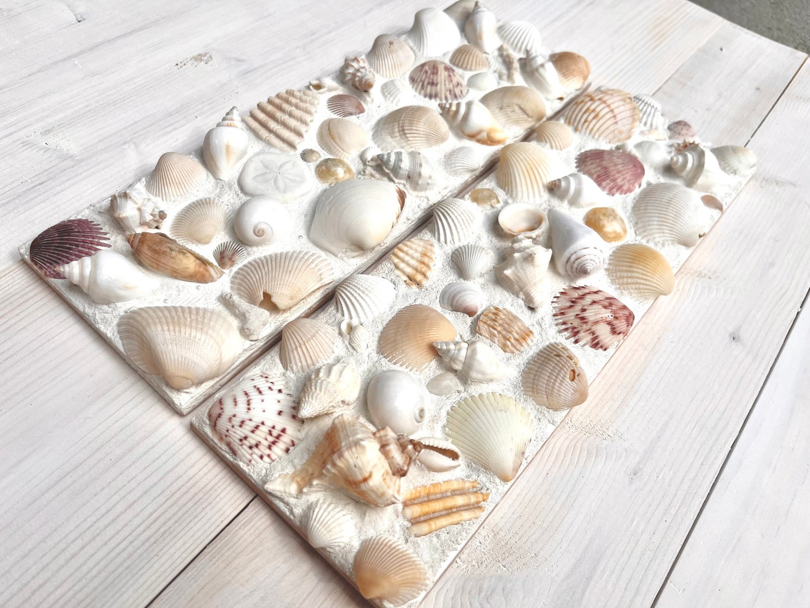 Seashell Coastal Decorative Tiles Custom Deco Tile Shell Etsy