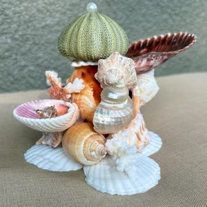 Seashell Jewelry Display, Mermaid Jewelry Holder