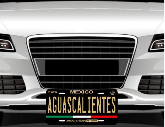 Aguascalientes Mexico Front Customized Any Text Novelty Car License Plate 