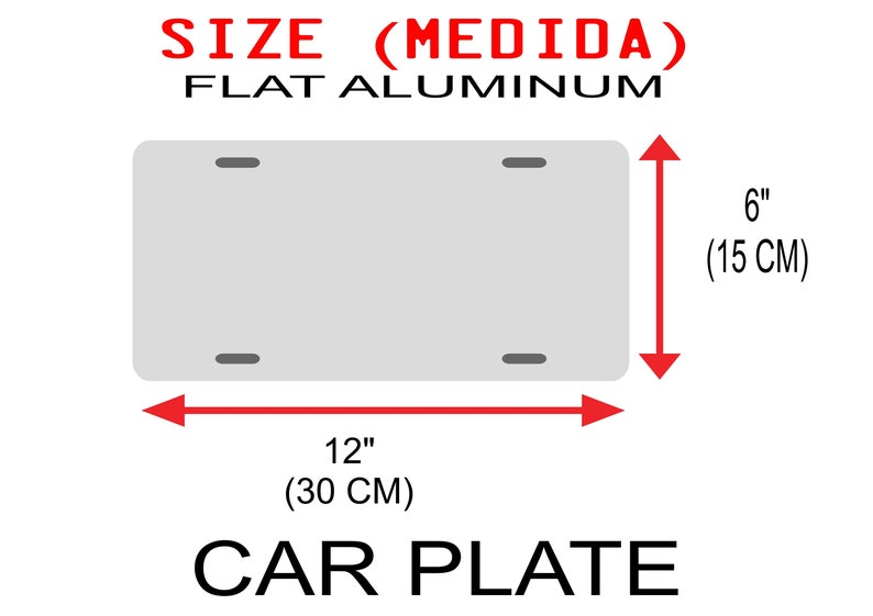 Personalized Aluminum Car Plates/ Car plate Mexico/ Car Plates of the States of Mexico/ Place your Text/ License plate image 10