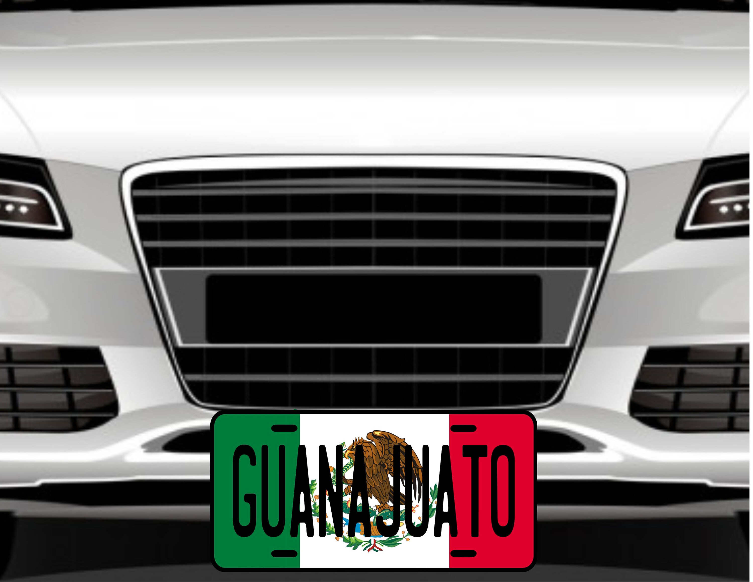 Guanajuato Mexico Car License Plate – 6x12 Inch Aluminum – Estados De Mexico