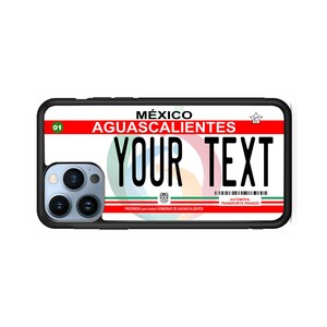 Aguascalientes Cell Phone Cases/ Aguascalientes State Phone Cases/ Aguascalientes Phone Cases/ Personalized Aguascalientes Cases