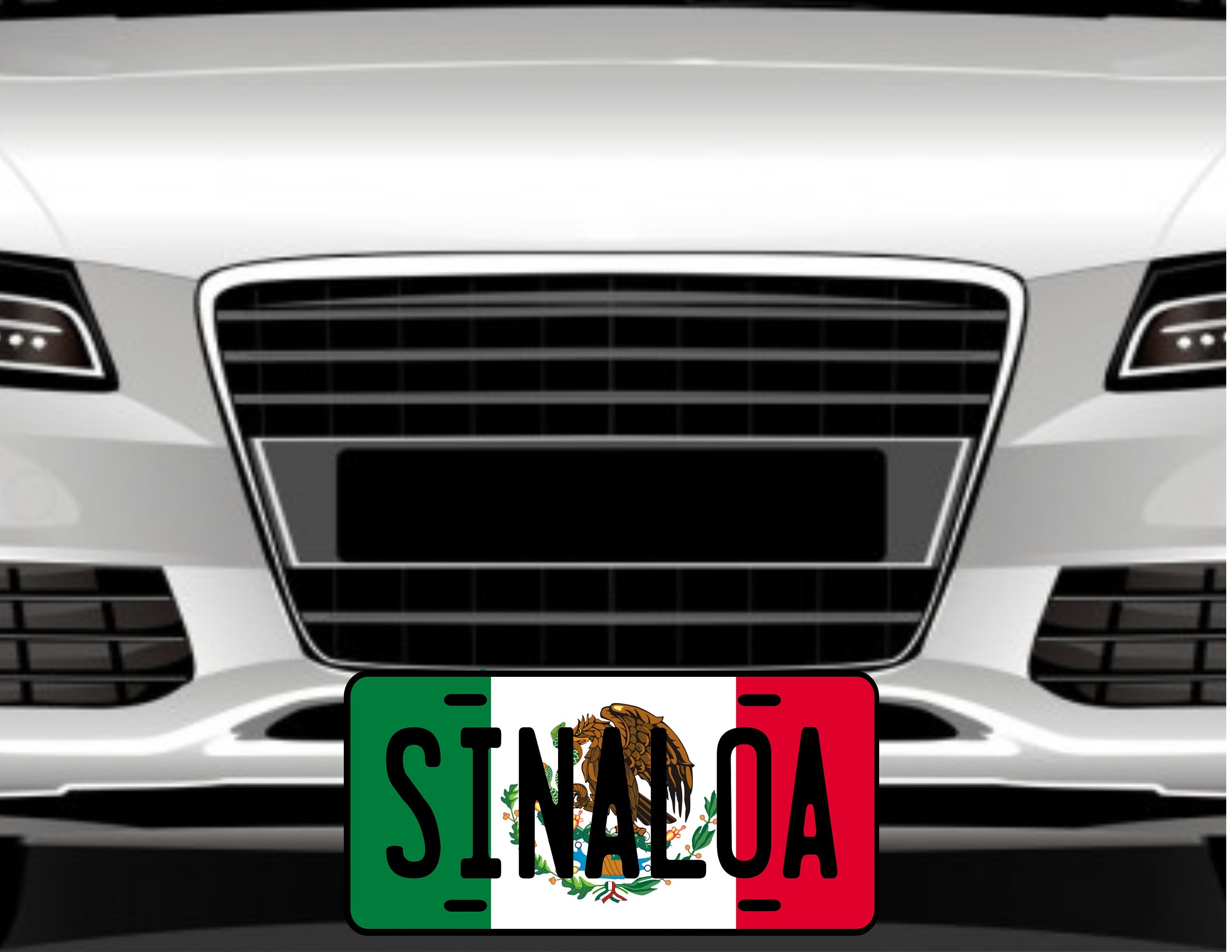 Placas Auto Todos los Estados de Mexico / Car Plate Mexico States