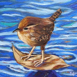 Surfing Wren, oil painting, wren, bird, unique, gift, small artwork
