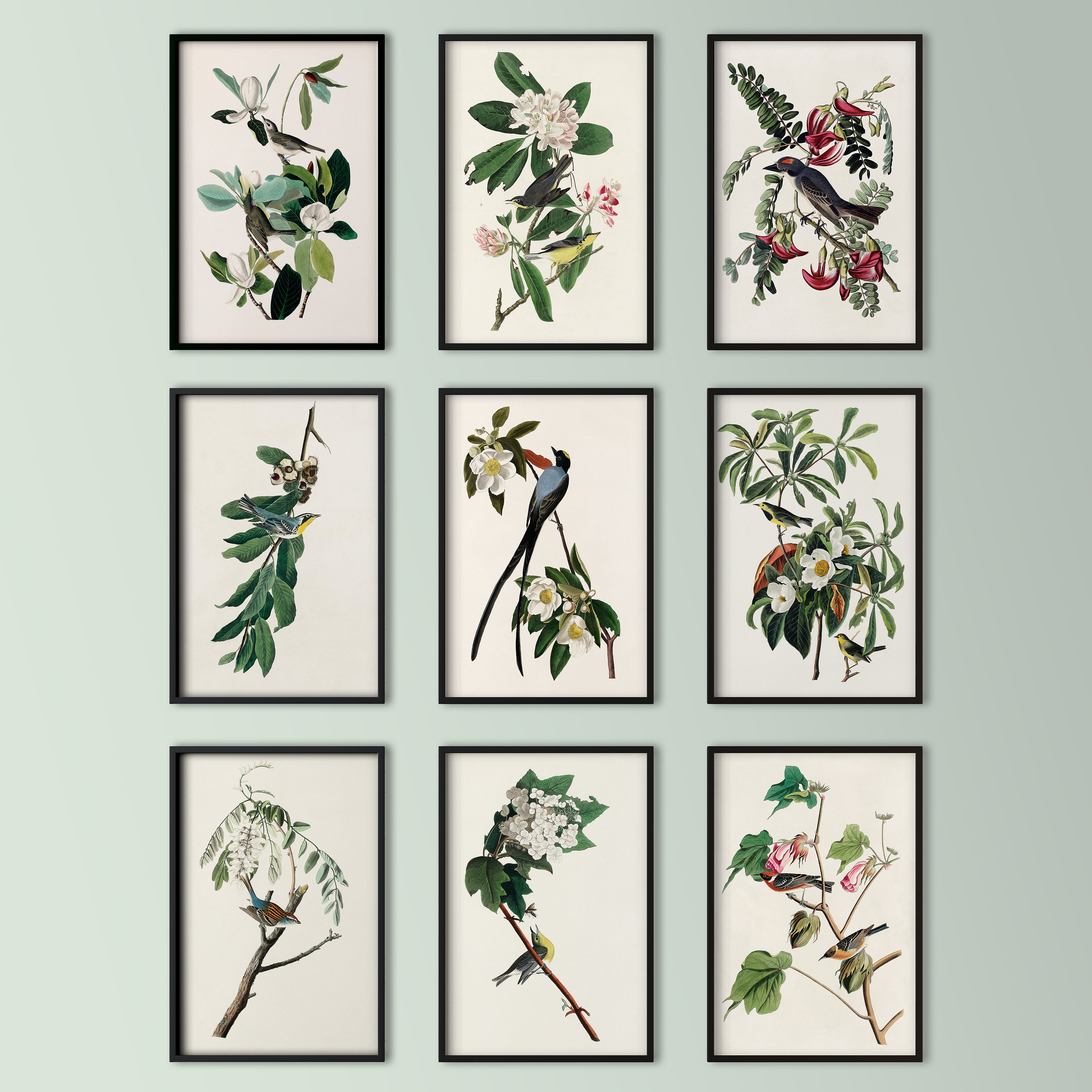 Vintage Bird Prints SET OF 9 Digital Downloads by John James Etsy